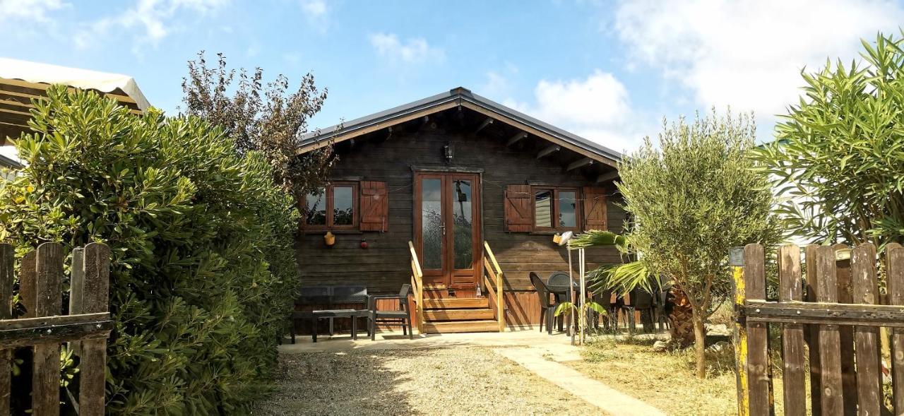 Chalet En Bois "Le Libellule" Сіжан Екстер'єр фото
